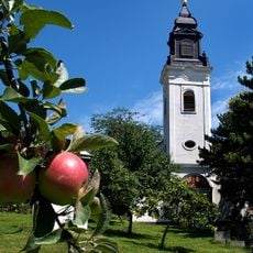 Église de la Présentation de la Mère-de-Dieu à Inđija