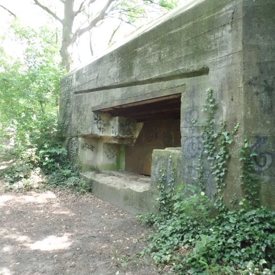 Kazemat R009-P Duitse Pantherstellung tussen Asschatterweg en brug