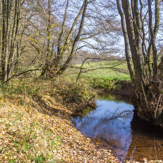 NSG Genfbachtal suedoestlich Nettersheim