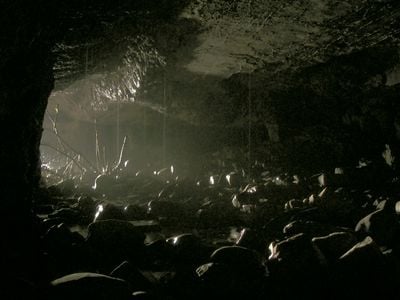Interior 1
