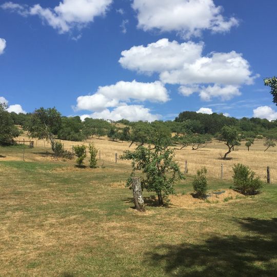 Domaine les Mirabelles