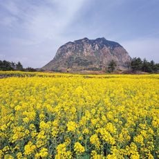 Sanbangsan