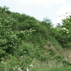 Naturschutzgebiet Eilsbusch bei Wethen