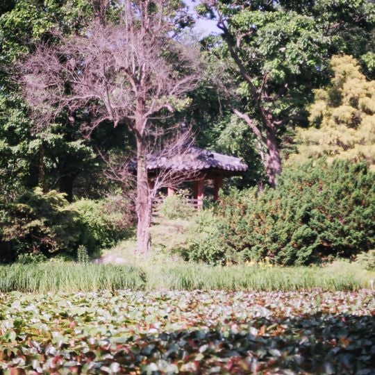 Arboretum national de Corée