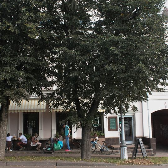 Дом Н.А. Маринина