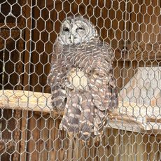 Owl's Hill Nature Center