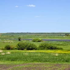 Lobanykha nature reserve