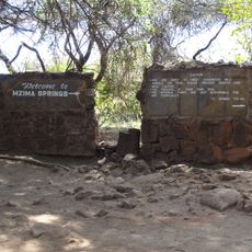 Mzima Springs