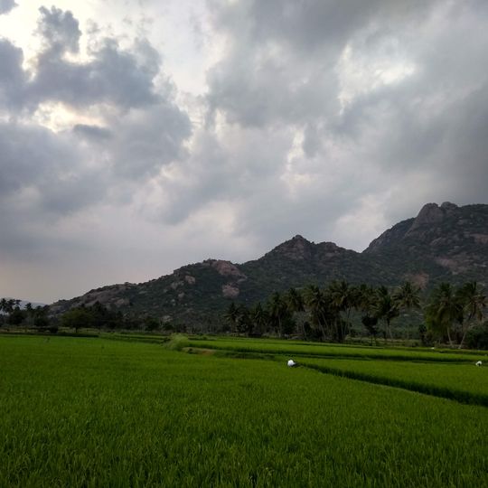 Kalrayan Hills