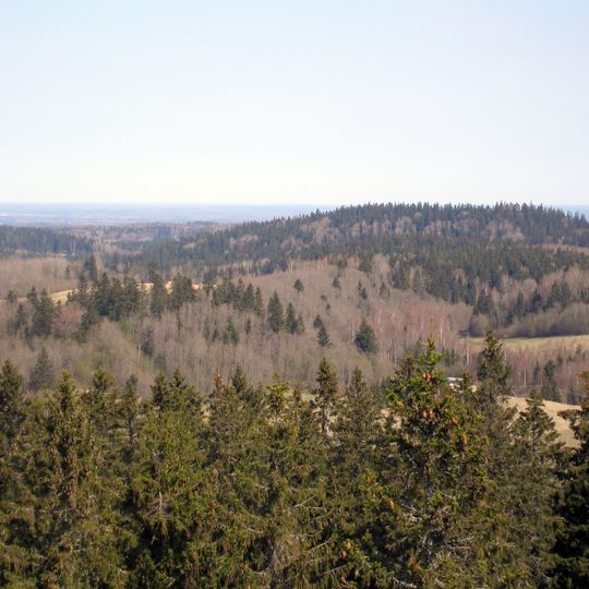 Sarmatic mixed forests
