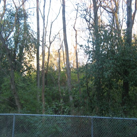 Cyrus Broadwell House