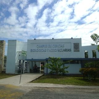 Facultad de Medicina Veterinaria y Zootecnia de la Universidad Autónoma de Yucatán