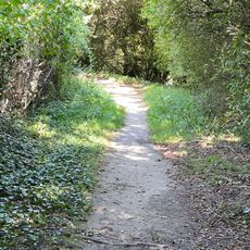Chemin rural 169