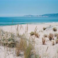 Comporta