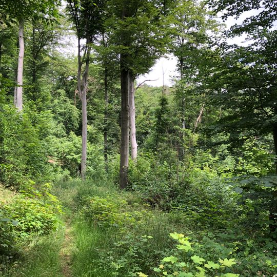 Steiner Siefen bei Odentha