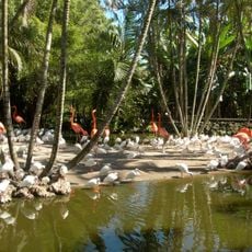 Flamingo Gardens