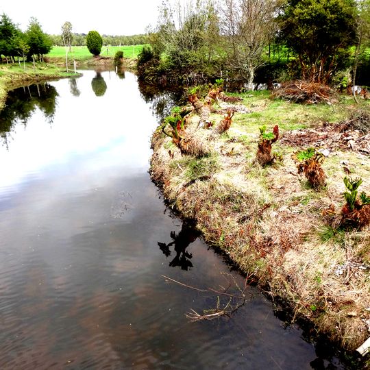 Sitios arqueológicos Monte Verde y Chinchihuapi