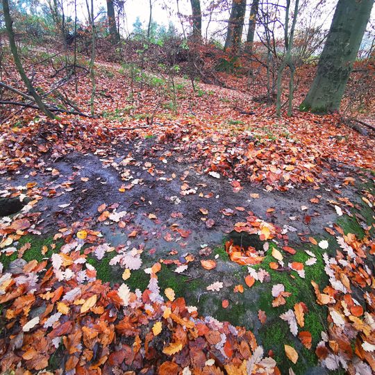 Bauwerk 125 Bernbach