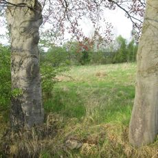 Kříž jižně od Letkova