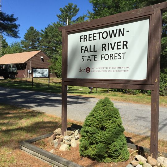 Freetown Fall River State Forest