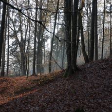 Barrow cemetery Silberberg