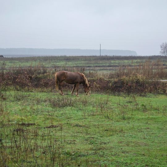 Shestovytsia Zakaznyk