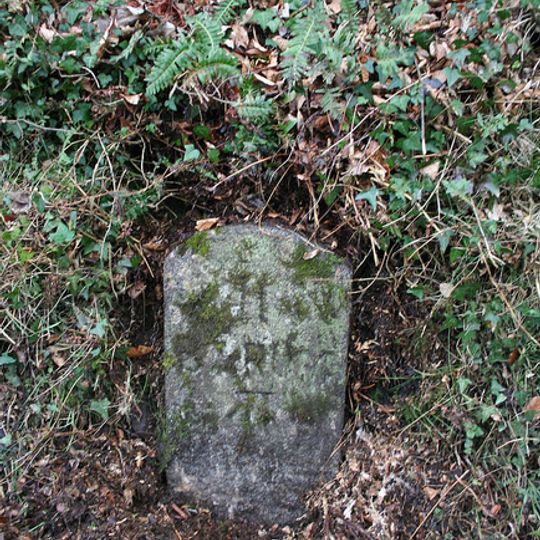 Milestone, Dole Park, 10m N of Dole Park East Cross signpost