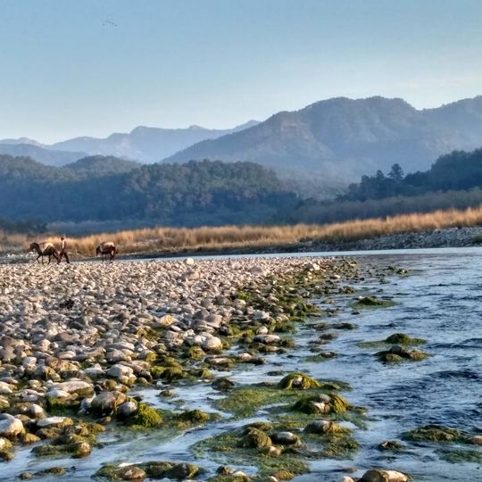 Ramnagar