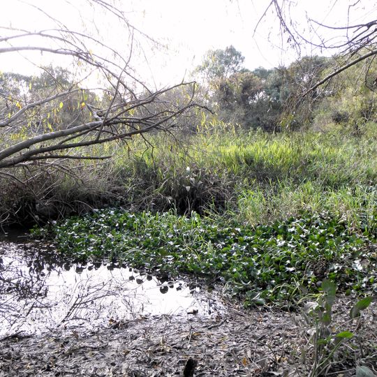 Reserva ecológica Ciudad Universitaria