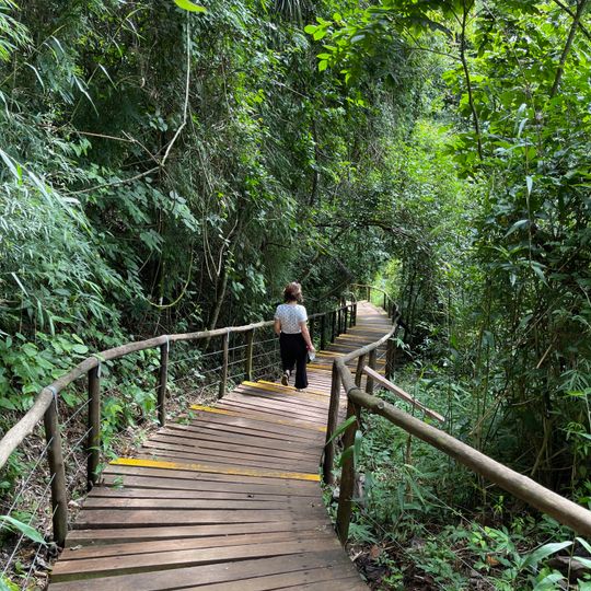 Cachoeira da Marta Municipal Nature Park