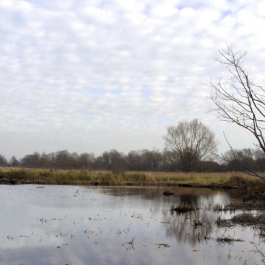 Hopton Fen