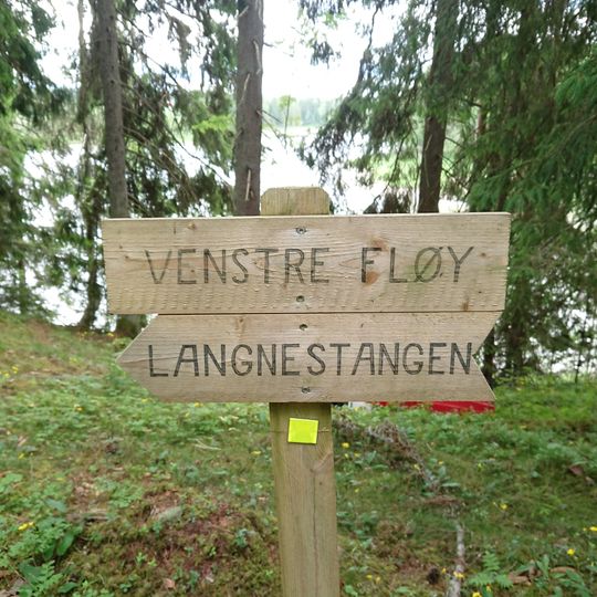 Venstre Fløy
