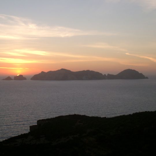 Palmarola