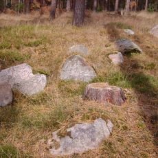 Großsteingrab Wittfeitzen