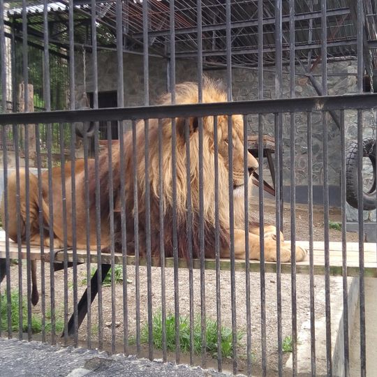 Sakhalin Zoological and Botanical Park
