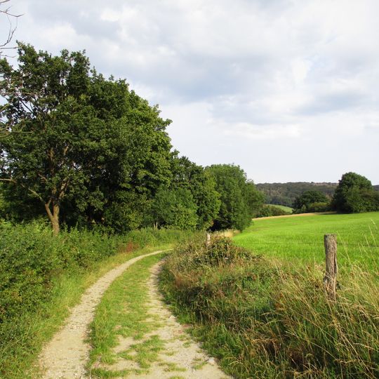 Niederbergisches Hügelland <Raumeinheit C>