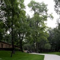 Zaoyuan Subdistrict, Yan'an