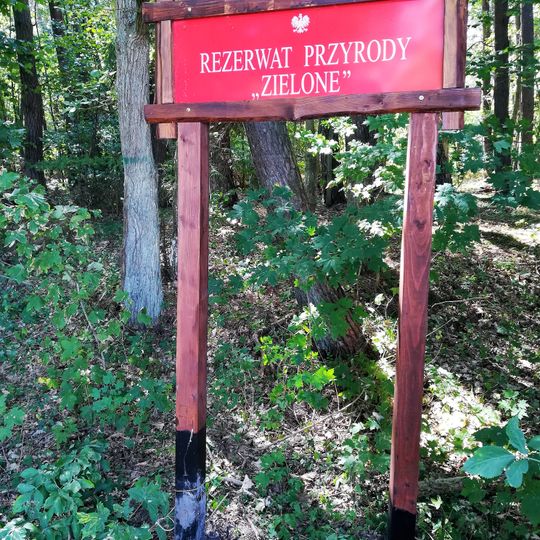 Rezerwat przyrody Zielone