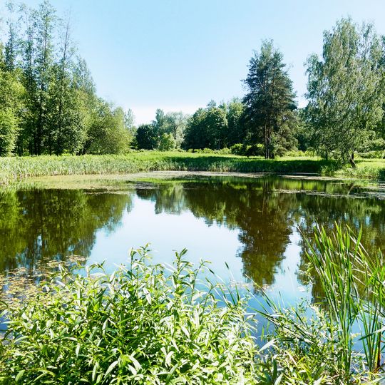 Пруд на Новом питомнике