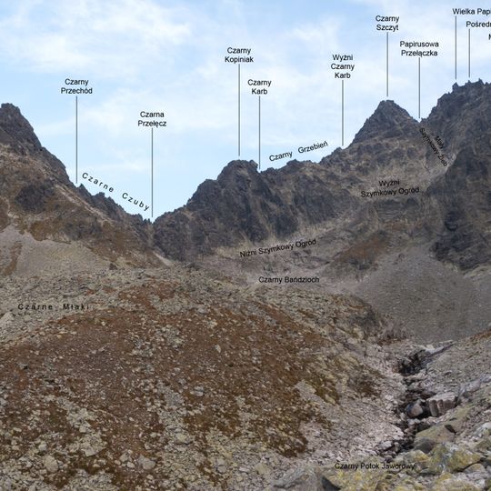 Czarne Czuby