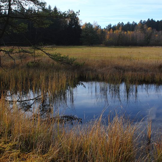 Brandmoos und Hauerin