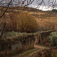 Calicasas