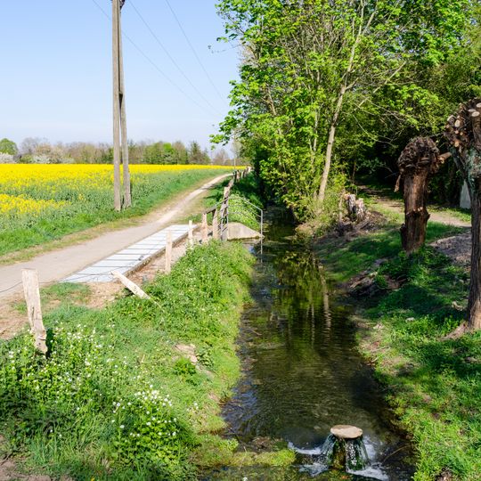 LSG-Inneboltsgraben, Plankendickskendel, Schwanenbrueckskendel, Kleine Goorley