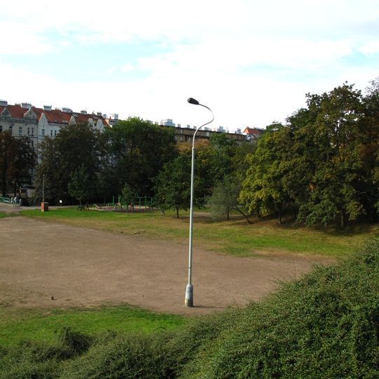 Z vlastního rozhodnutí