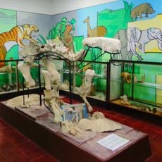 Municipal Museum of Natural Sciences Pachamama