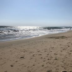 Huntington State Beach