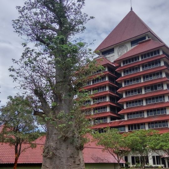 University of Indonesia