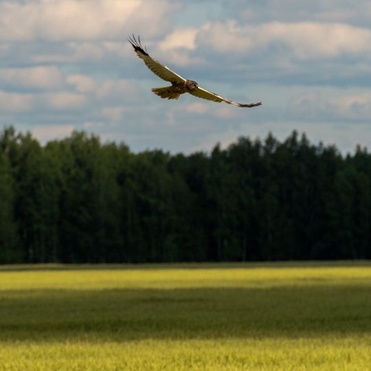 Orlinogor State Nature Sanctuary