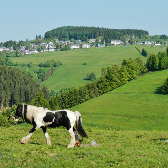 Bergwiesen bei Neuastenberg