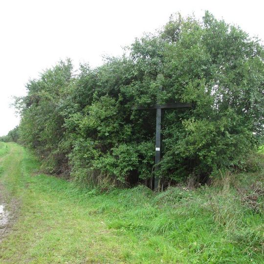 Kříž nad Horní Břízou u cesty do Ledců